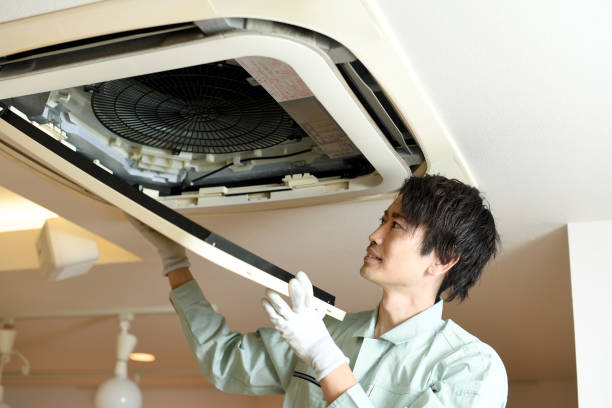 Air Duct Mold Removal in CA